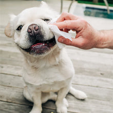 Load image into Gallery viewer, Eye Wipes for Dogs & Cats 30ct