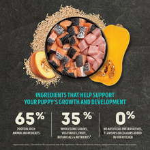 Load image into Gallery viewer, Healthy Grains Sea & Farm Puppy Dog Food