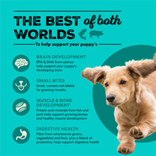 Load image into Gallery viewer, Healthy Grains Sea & Farm Puppy Dog Food