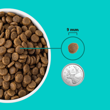 Load image into Gallery viewer, Healthy Grains Sea & Farm Puppy Dog Food