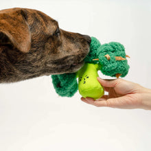 Load image into Gallery viewer, Broccoli Nose Work Toy