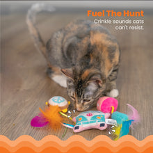 Load image into Gallery viewer, Catnip Festival Cat Toy 3 Pack