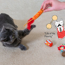 Load image into Gallery viewer, Catnip Pawrty Cat Toy 3 Pack