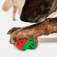 Load image into Gallery viewer, Cherry Tomato Nose Work & Tug Toy