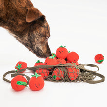Load image into Gallery viewer, Cherry Tomato Nose Work & Tug Toy