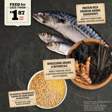 Load image into Gallery viewer, Healthy Grains Sea to Stream Adult Dog Food