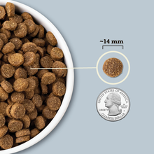 Load image into Gallery viewer, Healthy Grains Sea to Stream Adult Dog Food