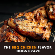 Load image into Gallery viewer, Grain Free Meatballs Chicken Recipe Dog Treat 14oz