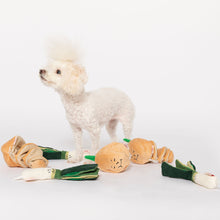 Load image into Gallery viewer, Green Onion Nosework Toy