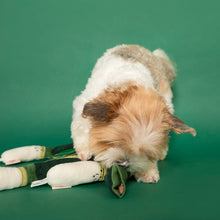 Load image into Gallery viewer, Green Onion Nosework Toy