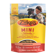 Load image into Gallery viewer, Mini Naturals Salmon for Dogs 6oz