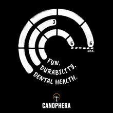 Load image into Gallery viewer, Olive Tree Wood Stick Chew (1pc)