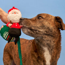 Load image into Gallery viewer, Santa Paws Nosework Toy