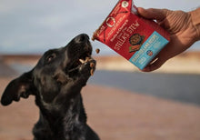 Load image into Gallery viewer, Stella's Stews Grass-Fed Lamb Recipe Wet Dog Food 11oz