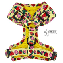 Load image into Gallery viewer, Strawberry Fields Furever Dog Adjstable Harness