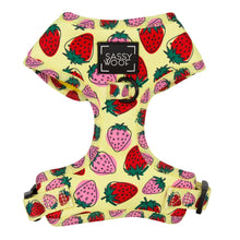 Load image into Gallery viewer, Strawberry Fields Furever Dog Adjstable Harness