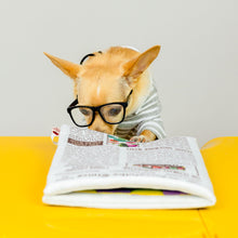 Load image into Gallery viewer, Newspaper Nosework Toy