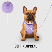 Load image into Gallery viewer, The Everything Harness with Poop Dispenser (Lavender)