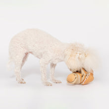 Load image into Gallery viewer, Yellow Onion Nosework Toy