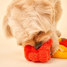 Load image into Gallery viewer, Surfer Hooman Nosework Toy