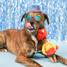 Load image into Gallery viewer, Surfer Hooman Nosework Toy