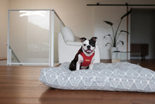 Load image into Gallery viewer, Comfort Harness (Red)