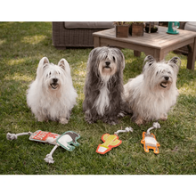 Load image into Gallery viewer, Cactus Rope Toy - WAGSUP