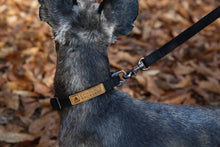 Load image into Gallery viewer, Easy Collar (Black)