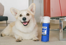 Load image into Gallery viewer, 80's Classic Net Hairspray