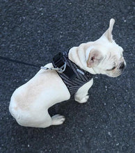 Load image into Gallery viewer, Air Fly Harness - WAGSUP