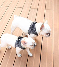 Load image into Gallery viewer, Air Fly Harness - WAGSUP