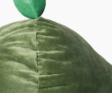Load image into Gallery viewer, Avocado Pet Bed