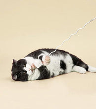 Load image into Gallery viewer, Bingo Stick Cat Toy - WAGSUP
