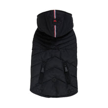 Load image into Gallery viewer, Birch Dog Jacket