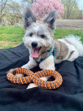 Load image into Gallery viewer, Braided 11" Infinity Tug (Orange & Grey) - WAGSUP