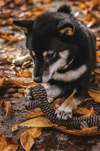 Load image into Gallery viewer, Braided 9" Stick - WAGSUP