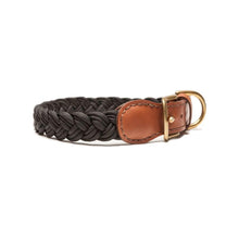 Load image into Gallery viewer, Braided Classic Collar - WAGSUP