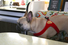 Load image into Gallery viewer, Buckle-Up Easy Harness (Red)