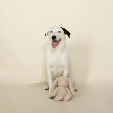 Load image into Gallery viewer, Bunny Love