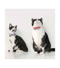 Load image into Gallery viewer, Cat Bow Tie Collar (Block Fauvism)