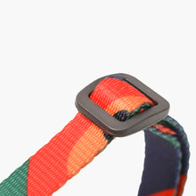 Load image into Gallery viewer, Cat Harness and Leash Set