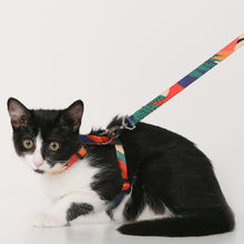 Load image into Gallery viewer, Cat Harness and Leash Set