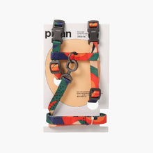 Load image into Gallery viewer, Cat Harness and Leash Set