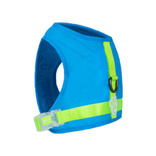 Load image into Gallery viewer, Chill Seeker Cooling Harness