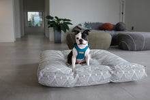 Load image into Gallery viewer, Comfort Harness (Blue)