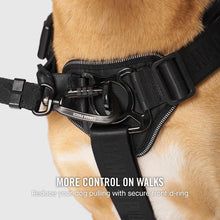 Load image into Gallery viewer, Complete Control Harness (Black)