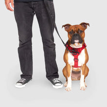 Load image into Gallery viewer, Complete Control Harness (Black)