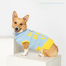 Load image into Gallery viewer, Dog Bless Y'all Sweater
