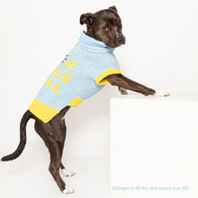 Load image into Gallery viewer, Dog Bless Y'all Sweater