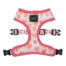 Load image into Gallery viewer, Dolce Rose Reversible Harness